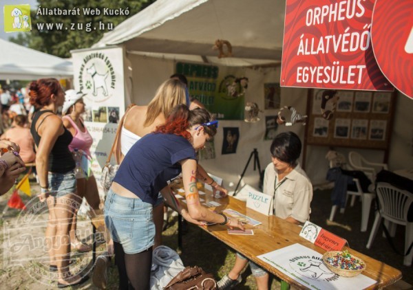 A felelős állattartást népszerűsítette a Sziget 2014 Fesztiválon az Orpheus Állatvédő Egyesüet
