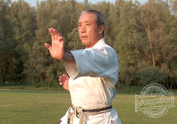 Magyarországi Wado-ryu Karate Szövetség - Sport szervezet