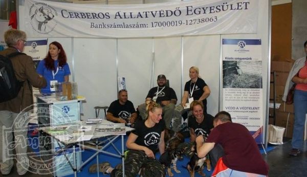 Cerberos Állatvédő Egyesület - Állatvédelem, állatmentés