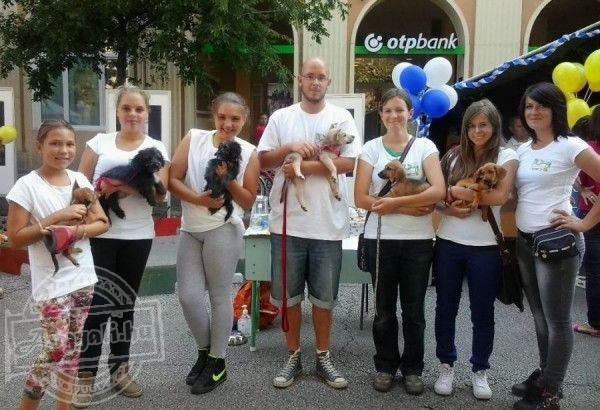 Szolnok Városi Állatotthon - Állatmentés, állatvédelem
