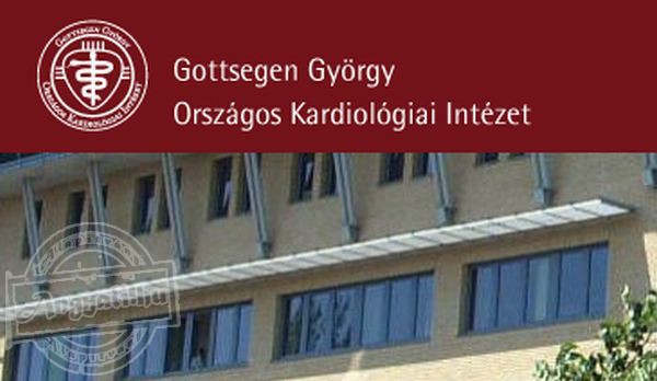 Gottsegen György Alapítvány - Egészségügyi intézmény támogatása