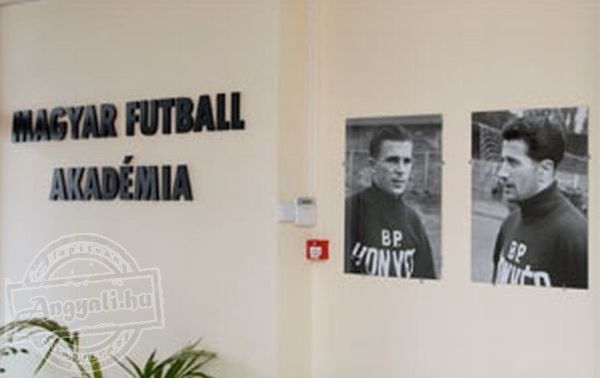 Magyar Futball Akadémia - Sporttevékenység