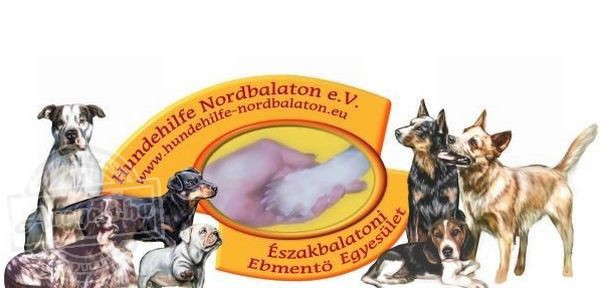 Északbalatoni Ebmentő Egyesület - Sérült állatok megmentése, segítése