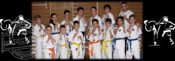 Veszprémi Shotokan Karate Klub - Sport tevékenység