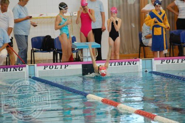 Budafoki Úszóversenyzők Közhasznú Alapítvány - Sporttevékenység, egészségügyi prevenció