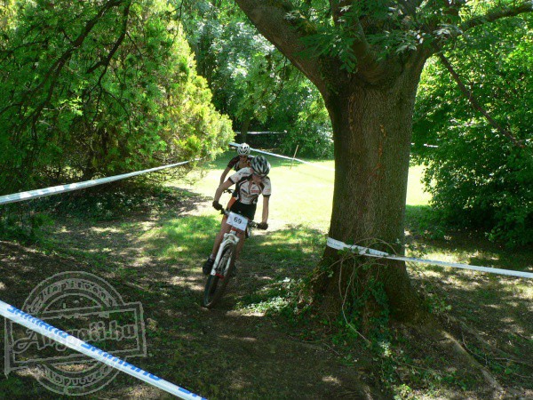 Pilis Cross Country Club - Sporttevékenység