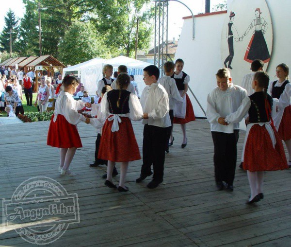 Schwarzwald Hagyományőrző Egyesület - Kulturális tevékenység, hagyományőrzés