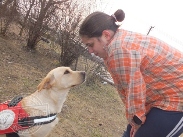 Hajdúsági Vakvezető- és Segítőkutya Képzésért Alapítvány - Segítő kutya kiképzés