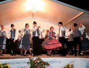 Kistarcsai Kulturális Egyesület - A kulturális program színesebbé tétele
